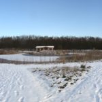 Een winters plaatje, foto's natuurgebied