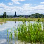 Foto's natuurbegraafplaats/ Fotos Naturfriedhof