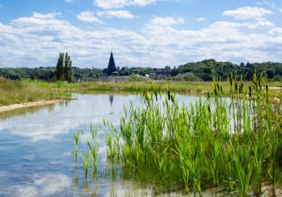 Foto's natuurbegraafplaats