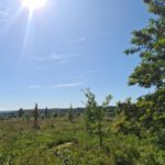 Fotos Naturschutzgebiet, Einen Ruheplatz wählen