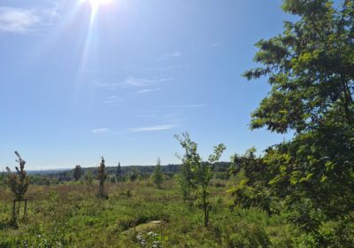 Fotos Naturschutzgebiet, Einen Ruheplatz wählen