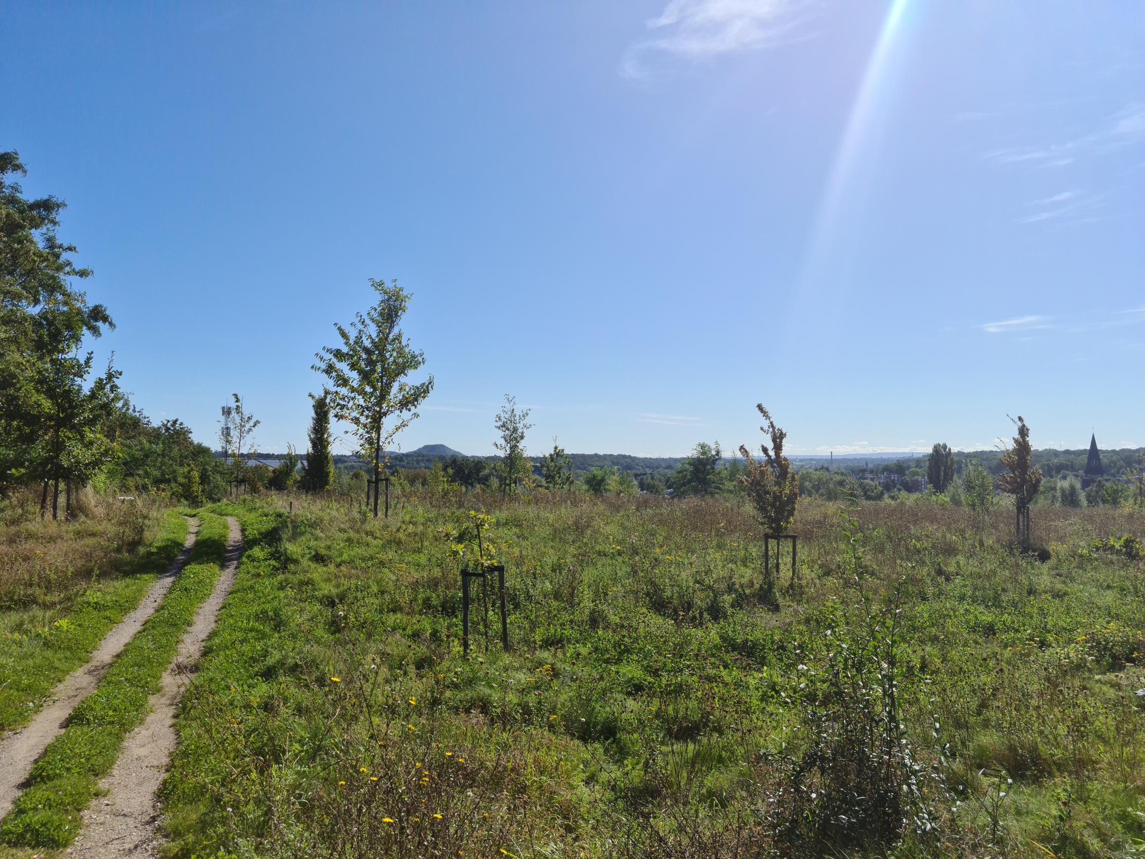 Een natuurgraf reserveren