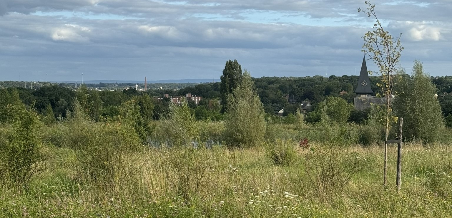 Aussicht auf dem Eygelshof