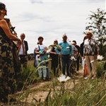 Besuchen mit Organisationen