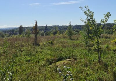 Natuurgraf dat opgaat in de natuur (Naturgrab)