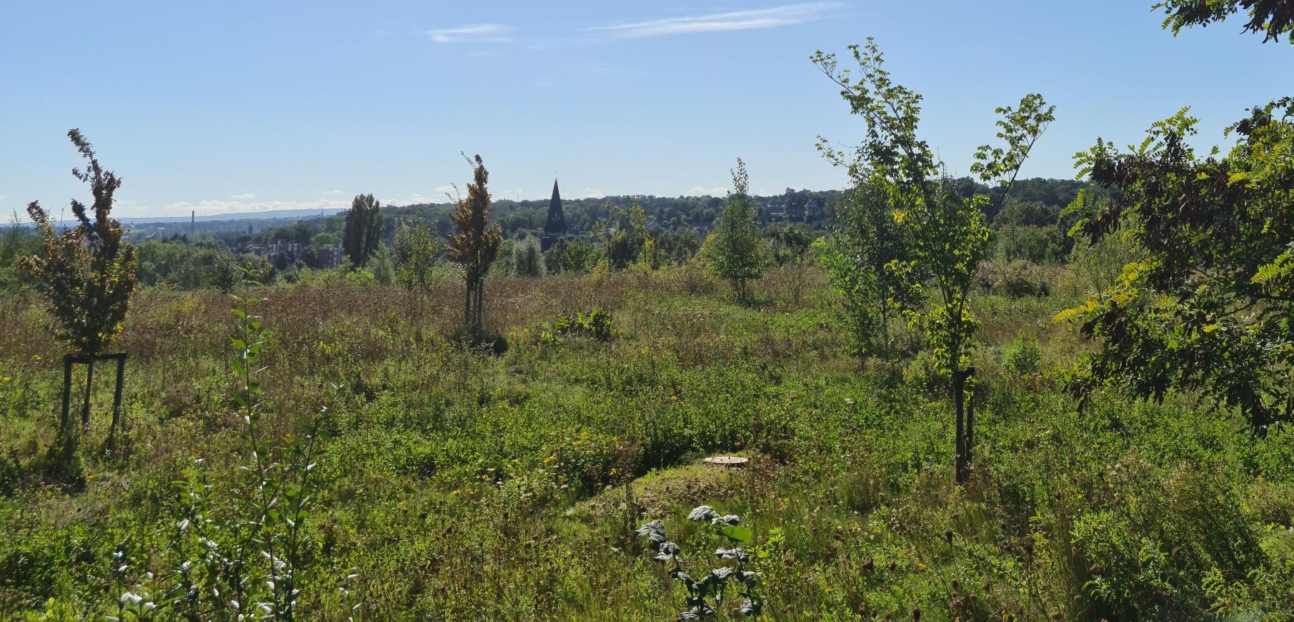 Natuurgraf dat opgaat in de natuur (Naturgrab)