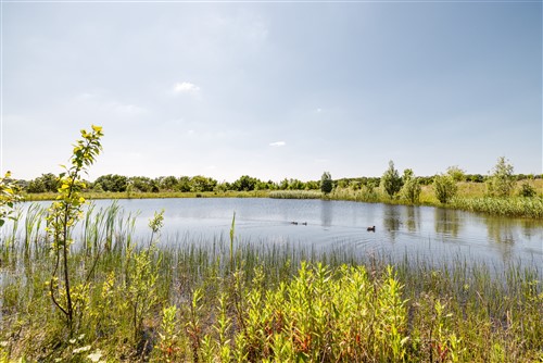 Waterpoel Eygelshof ("Dit is mijn ding")